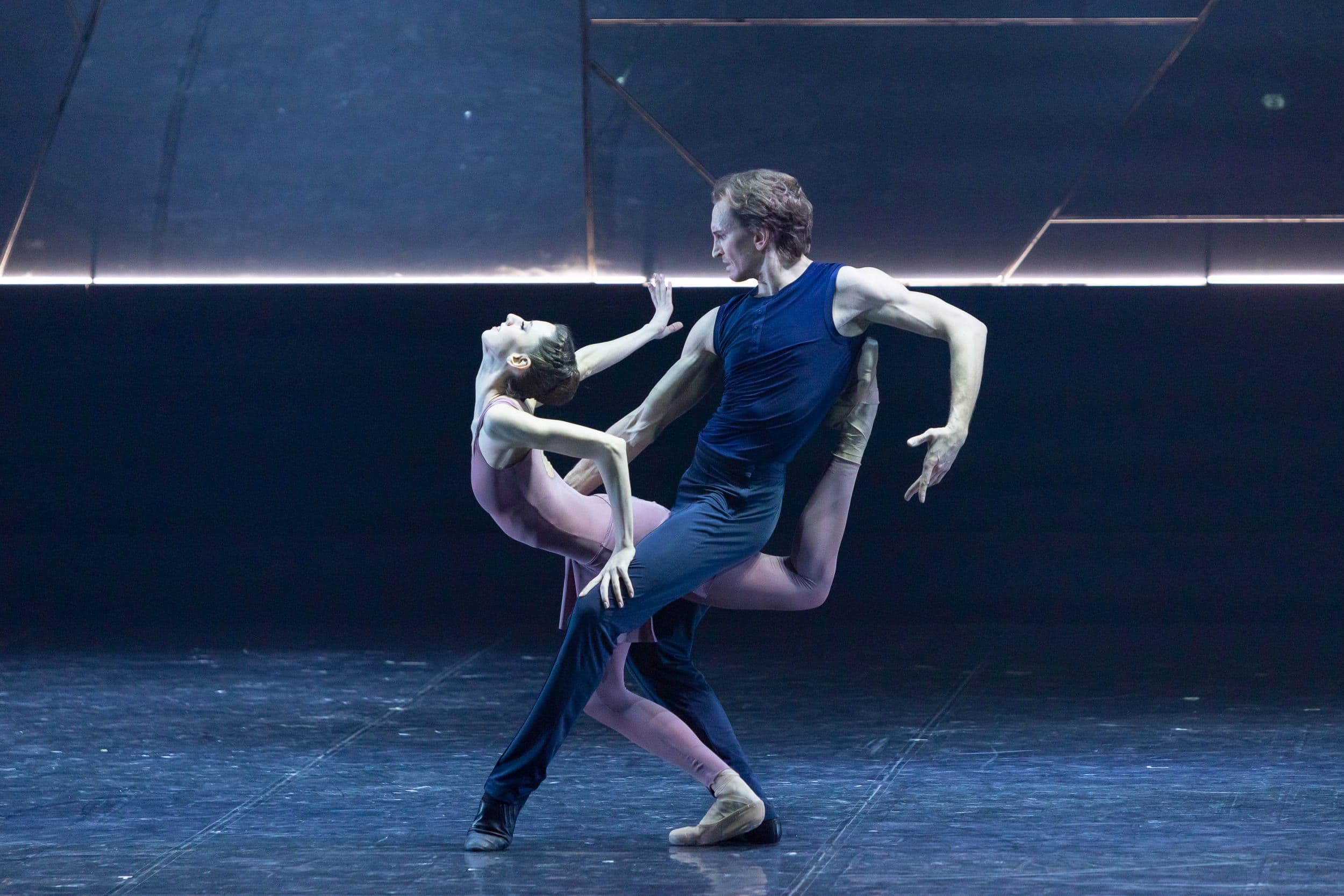 alt text should be here