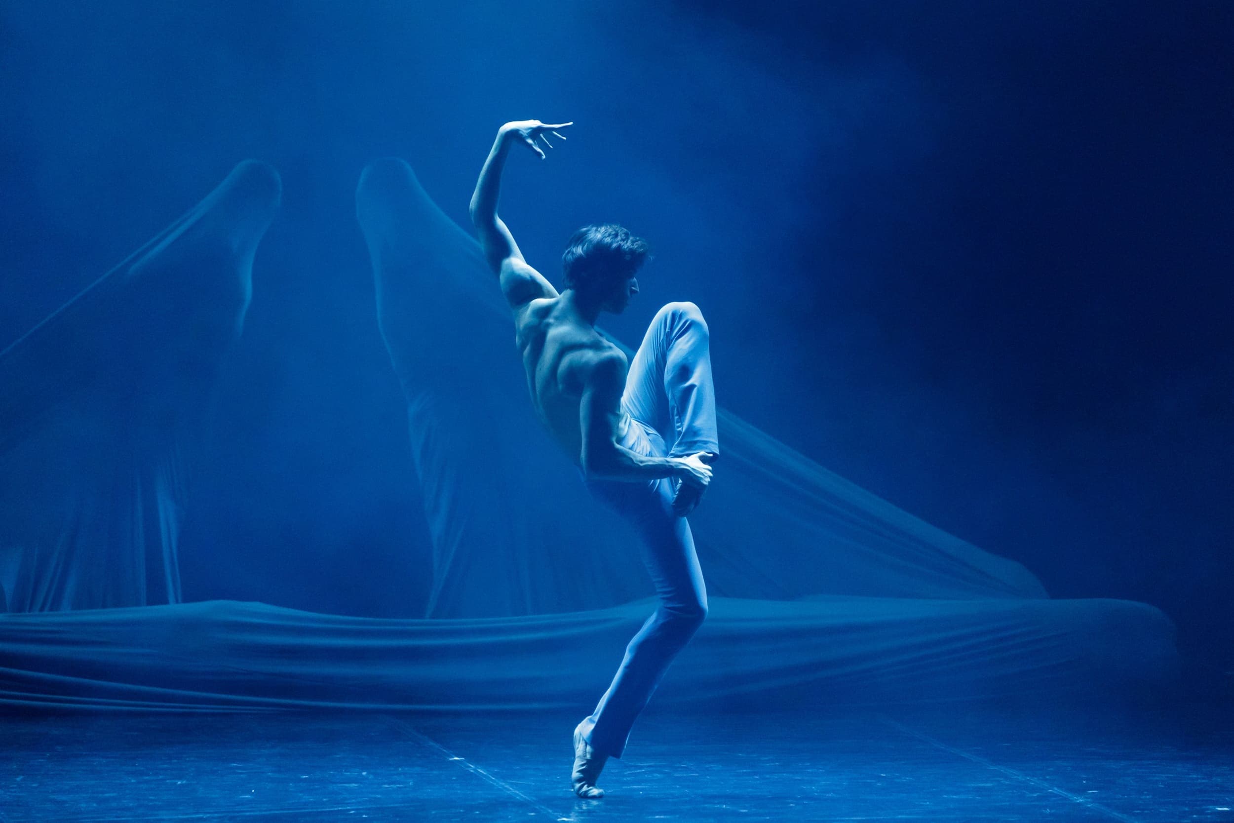 alt text should be here